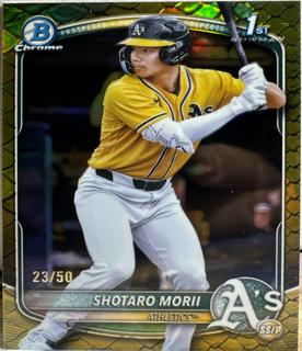 Shotaro Morii