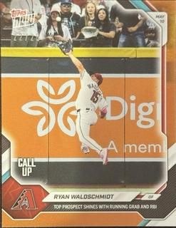 Ryan Waldschmidt