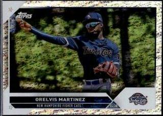 Orelvis Martinez