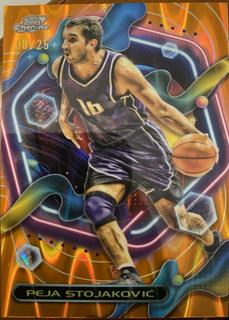 Peja Stojakovic