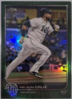 Nelson Cruz