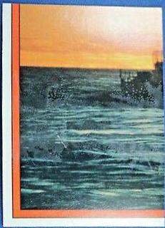 Desert Storm Sticker