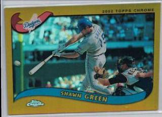 Shawn Green