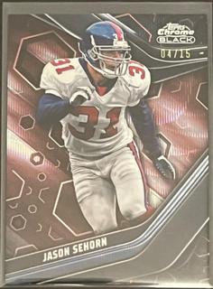 Jason Sehorn