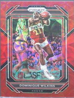Dominique Wilkins