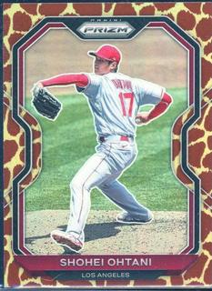 Shohei Ohtani