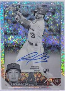 Livan Soto