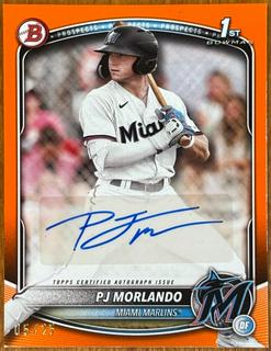 PJ Morlando