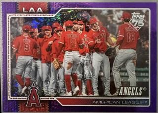 Team Card