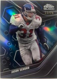 Jason Sehorn