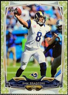 Sam Bradford