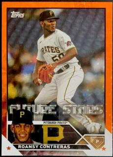 Roansy Contreras