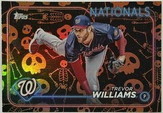 Trevor Williams