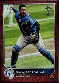 Salvador Perez