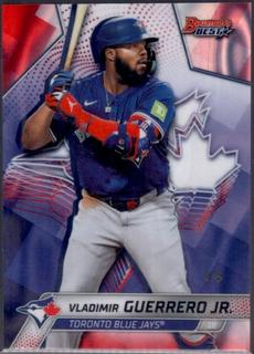 Vladimir Guerrero Jr.