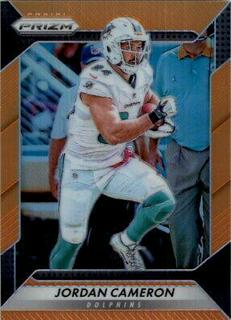 Jordan Cameron