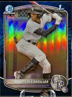 Ashly Andujar