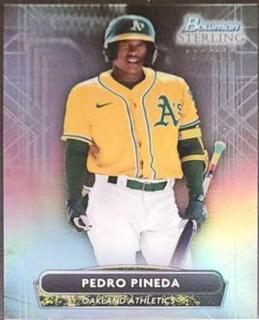 Pedro Pineda