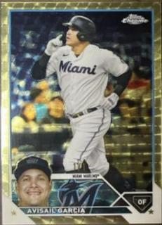 Avisail Garcia