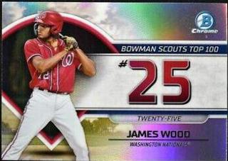 James Wood