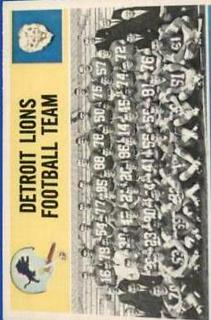 Detroit Lions