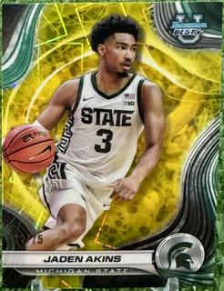 Jaden Akins