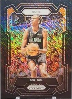 Bol Bol