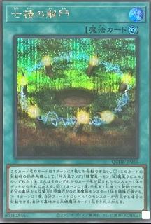 Opening of the Spirit Gates QCDB-JP056