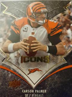Carson Palmer