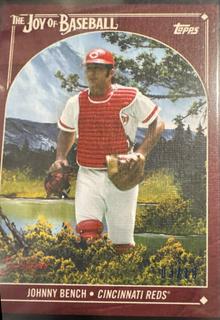Johnny Bench
