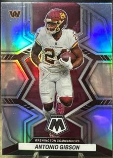 Antonio Gibson