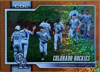 Team Card