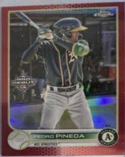 Pedro Pineda