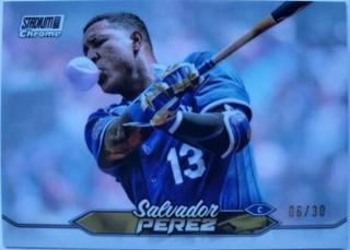 Salvador Perez