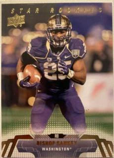 Bishop Sankey