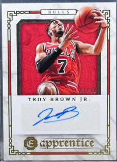 Troy Brown Jr.