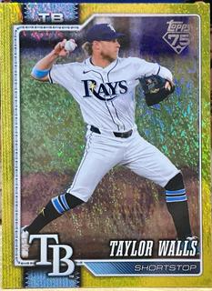 Taylor Walls