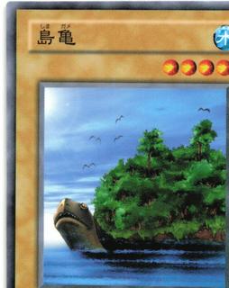 Island Turtle TB-45