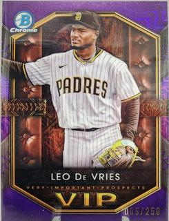 Leo De Vries