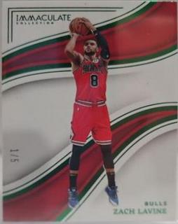 Zach LaVine