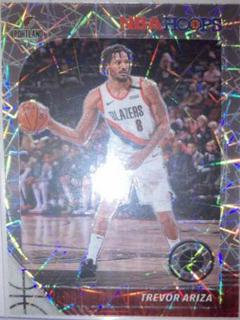 Trevor Ariza