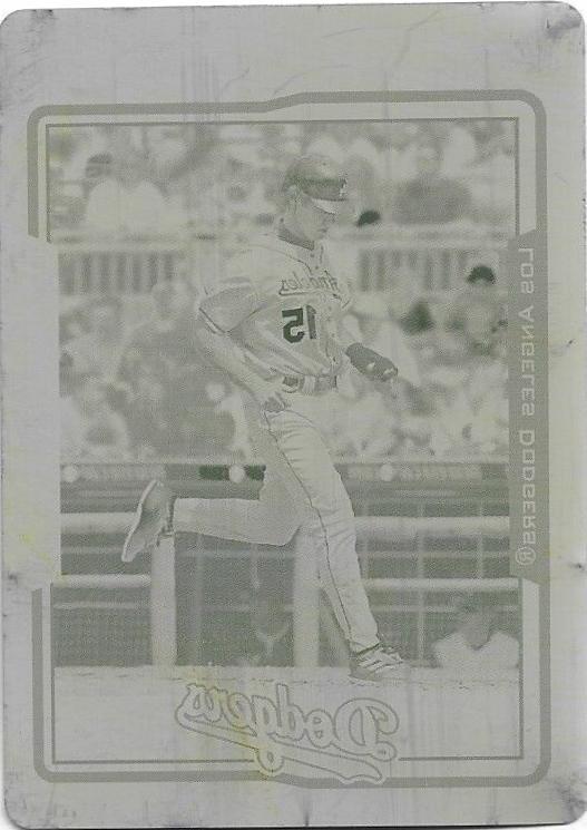 Shawn Green #142