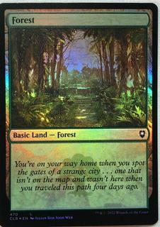 Forest