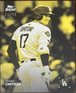 Shohei Ohtani