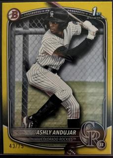 Ashly Andujar