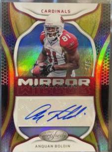 Anquan Boldin