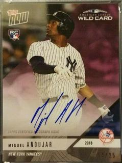 Miguel Andujar