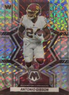 Antonio Gibson