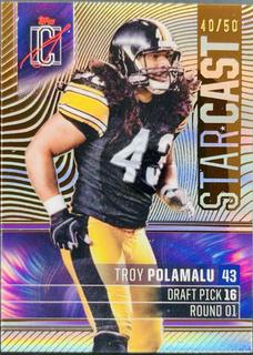 Troy Polamalu