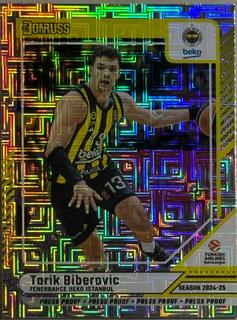 Tarik Biberovic